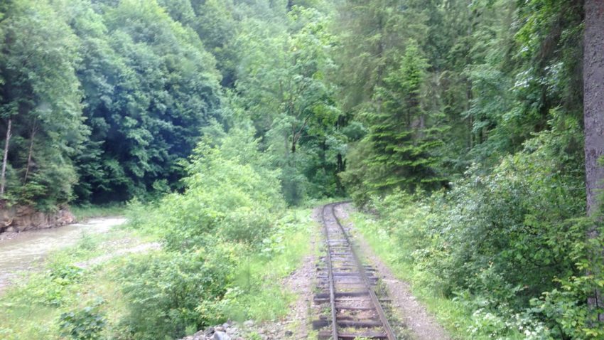 Destinaţia zilei: Cu Mocăniţa, pe Valea Vaserului – un tărâm de poveste.
