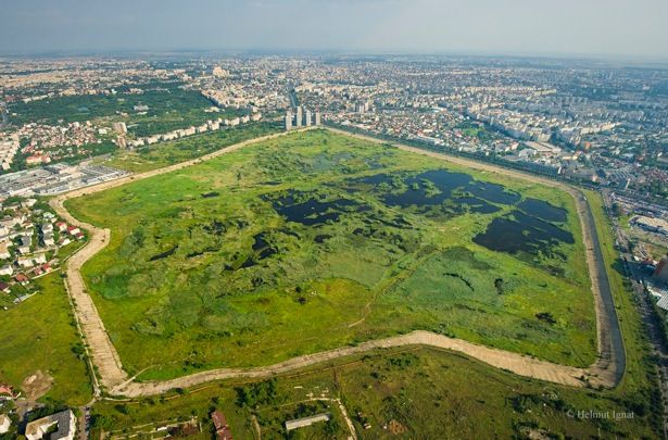 Destinația zilei: Delta Văcărești