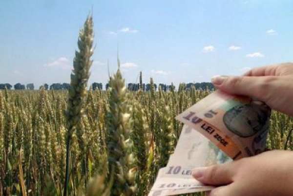 (AUDIO) Subvenţii mai mari pentru agricultori
