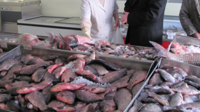 Lucrările de realizare a Bursei de peşte vor începe în octombrie