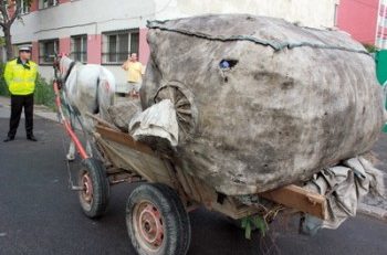 (AUDIO) Constanța: Căruțe la confiscat