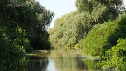 Delta Dunării, vulnerabilă în faţa schimbărilor climatice