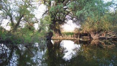 Nivelul Dunării a depăşit cota de atenţie în judeţul Tulcea