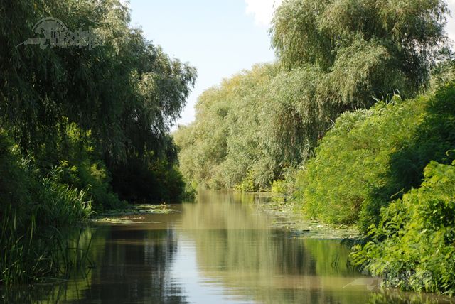 Delta Dunării, vulnerabilă în faţa schimbărilor climatice