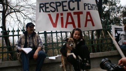 Constanţa: Protest împotriva eutanasierii