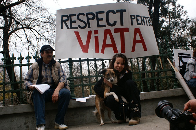 Constanţa: Protest împotriva eutanasierii
