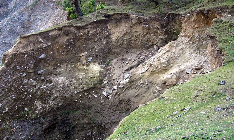 Modificarea Codului Silvic ar putea favoriza inundaţiile şi alunecările de teren