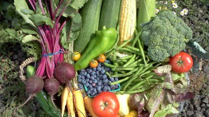 Cursuri de agricultură eco la Constanţa