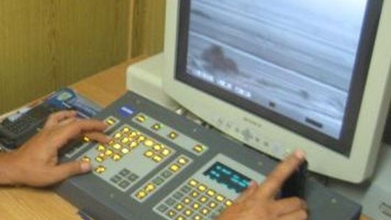 11 constănţeni, prinşi la furat de cereale