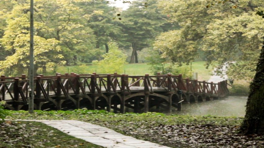 Destinația zilei: Domeniul Stirbey, bijuteria de lângă București