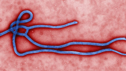 SUSPECT de Ebola la Constanța!