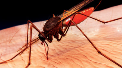 Nu este Ebola! Suspectul din Constanţa are malarie