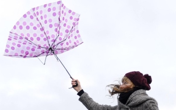 Cod Galben nowcasting de intensificări ale vântului în Dobrogea