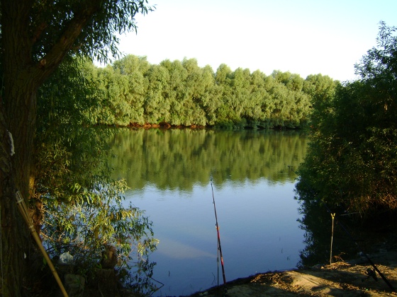 Braconaj piscicol pe canalul Dunavăț și lacul Meșteru din Tulcea