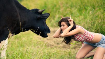 Danemarca va interzice întreţinerea de relaţii intime cu animale