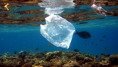 Deşeurile plastice din oceane omoară peste un milion de animale anual