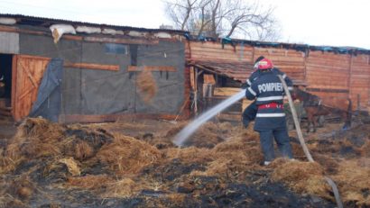 Incendiu puternic la Cogealac. Ard două grajduri
