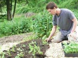 Fermierii primesc avansul din subvenţia pe suprafaţă