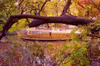 Accente de toamnă caldă în Dobrogea