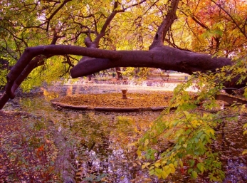 Accente de toamnă caldă în Dobrogea