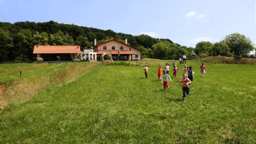 Chinezii fac bani cu Fermele fericite