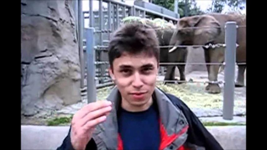 (VIDEO) VIRALUL ZILEI: PRIMUL videoclip de pe Youtube