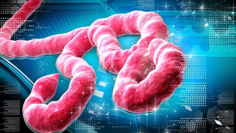 Epidemia de Ebola trebuie pusă sub control până la 1 decembrie