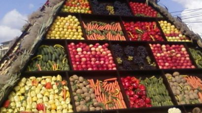 Ziua recoltei la Murfatlar