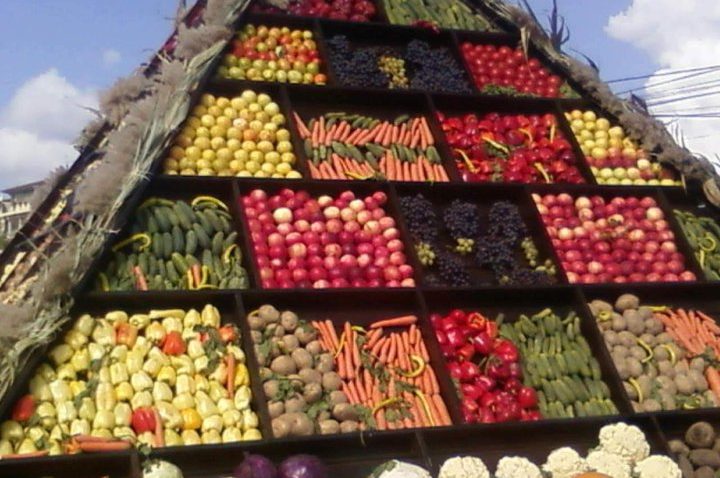 Ziua recoltei la Murfatlar
