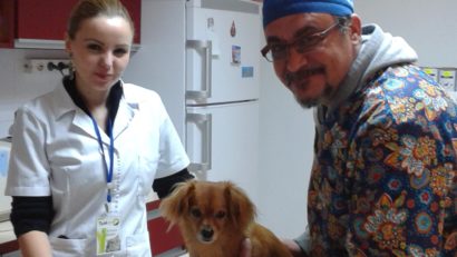 Trei obligații majore pentru deținătorii de câini