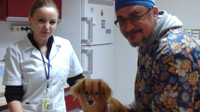Trei obligații majore pentru deținătorii de câini
