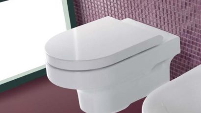 19 noiembrie este Ziua Mondială a … Toaletei!