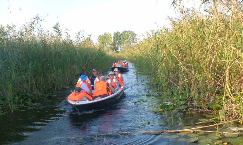 Accident naval în Delta Dunării