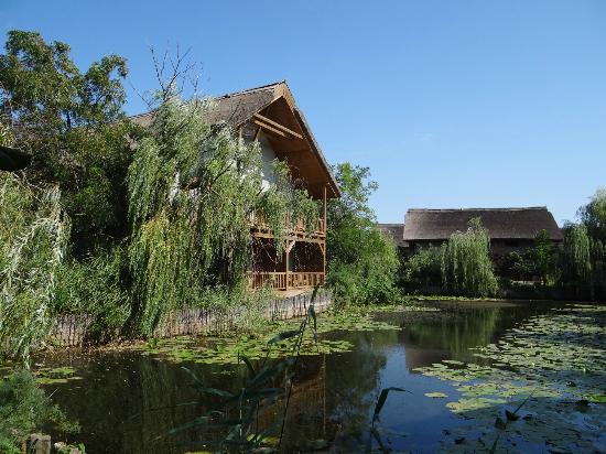 Cât ne costă permisele de acces în Delta Dunării