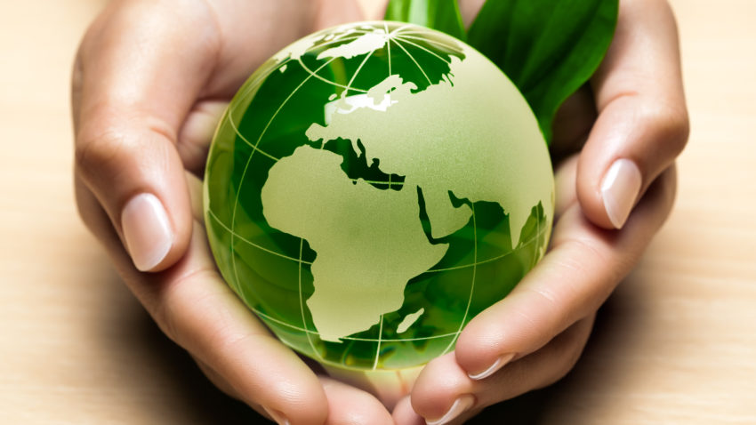 Competiţie eco pentru elevii constănţeni