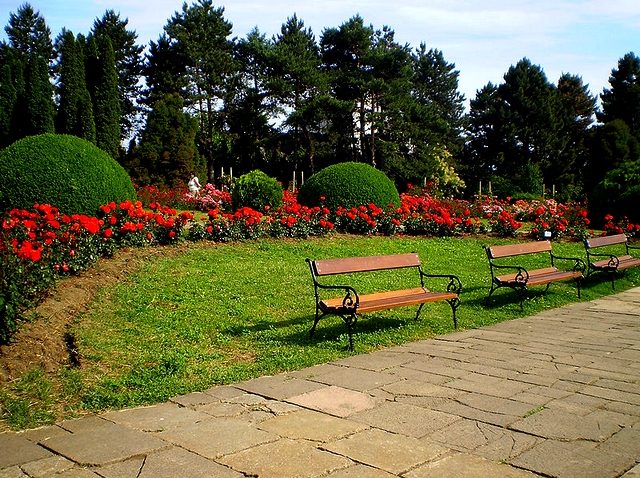 Techirghiol va avea o grădină botanică