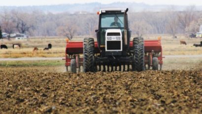 Secetă în Dobrogea, dar lucrările agricole se vor derula normal