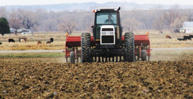 Secetă în Dobrogea, dar lucrările agricole se vor derula normal