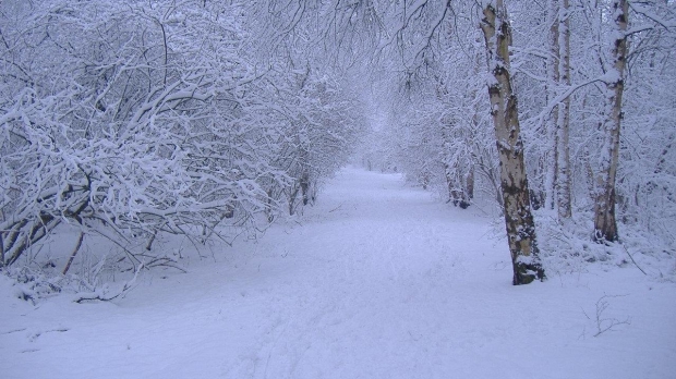 Vreme rece, ninsori şi polei în aproape toată ţara