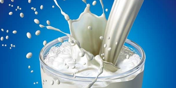 Consumul de lapte nu reduce riscul de fracturi