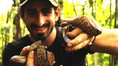 (VIDEO) Un naturalist se va lăsa mâncat de viu de un anaconda