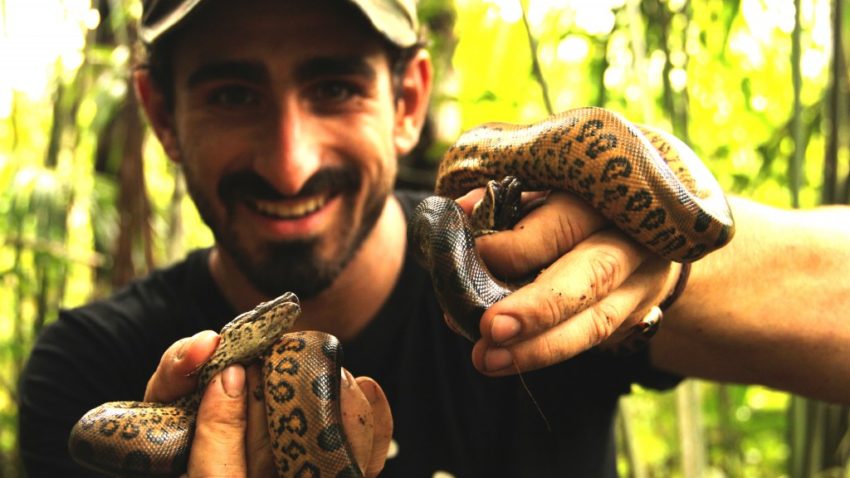 (VIDEO) Un naturalist se va lăsa mâncat de viu de un anaconda