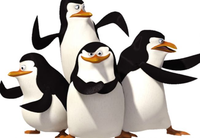 Pinguinii din Madagascar ajung în România pe 28 noiembrie