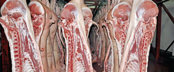 Atenţie la carnea de porc! Începe sezonul îmbolnăvirilor de trichineloză