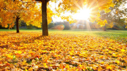 Prognoza meteo pentru Dobrogea