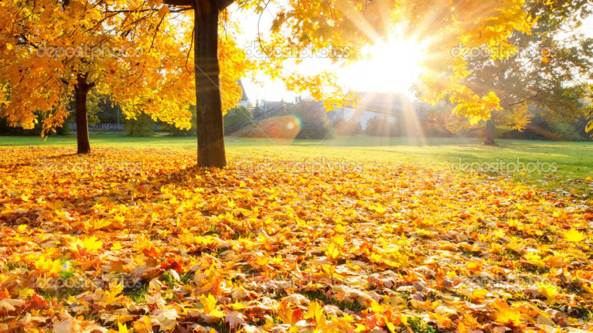 Prognoza meteo pentru Dobrogea