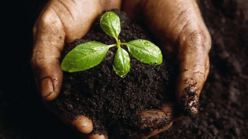 Agrometeo: Condiţii bune pentru agricultură, în perioada următoare