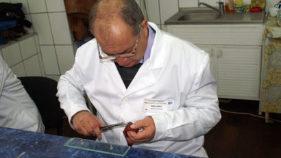 Analizele pentru trichineloză la Tulcea: unde, cât