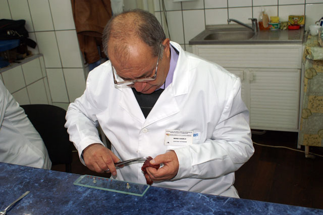 Analizele pentru trichineloză la Tulcea: unde, cât