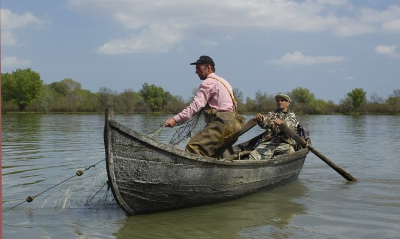Permisele de pescuit comercial în Deltă, valabile până în 2015, la începerea prohibiţiei